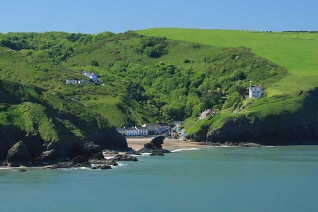 Y Boidy Bach Vila Llangranog Exterior foto